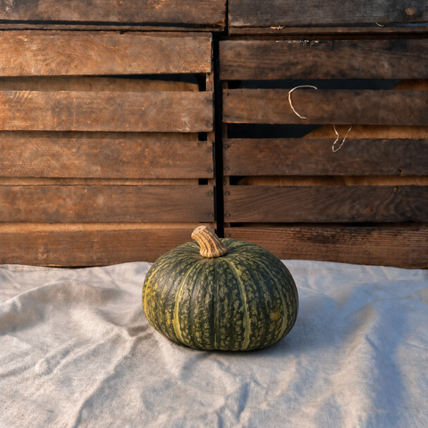 Hokkaido-pumpa grön 1kg EKO