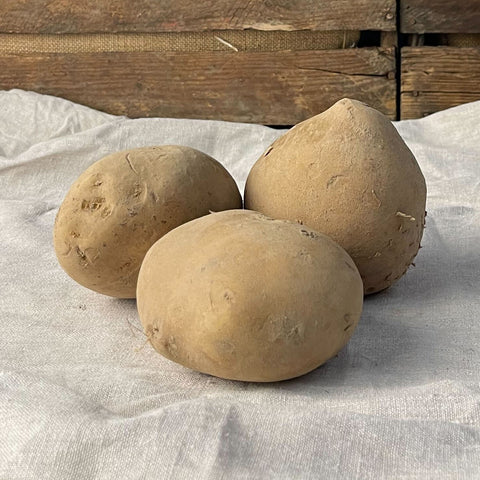 Bakpotatis EKO