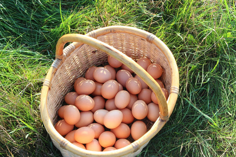 Gårdens grönbetesägg