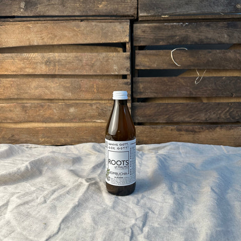 Kombucha Fläder EKO 33cl