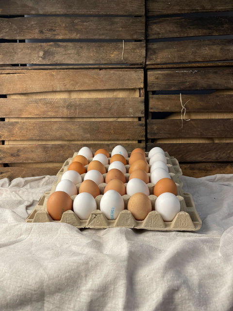 Ägg frigående utomhus 30-pack EKO