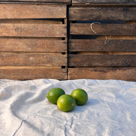 Lime EKO 3-pack
